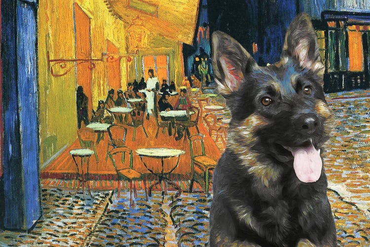 German Shepherd Cafe Terrace At Night