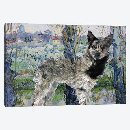 Mudi Dog Orchard In Blossom Canvas Print #NDG568} by Nobility Dogs Art Print