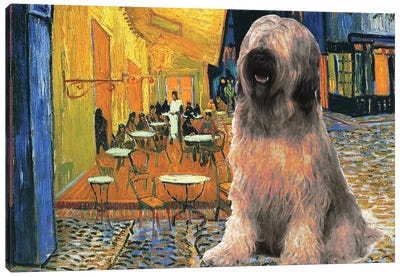 Briard Dog Cafe Terrace At Night Canvas Art Print