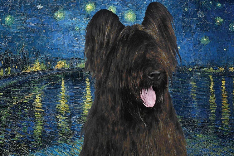 Briard Dog Starry Night Over The Rhone