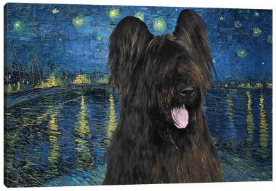Briard Dog Starry Night Over The Rhone Canvas Art Print
