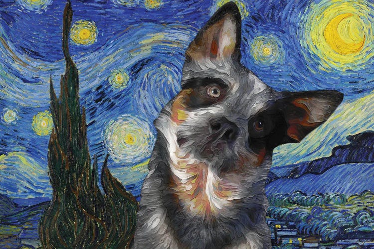 Australian Cattle Dog Blue Heeler Starry Night