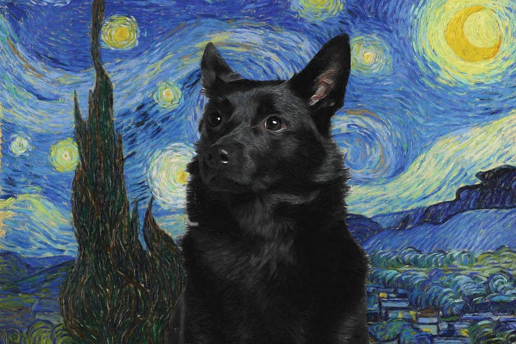 Australian Kelpie The Starry Night