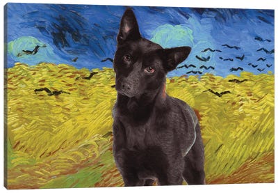 Australian Kelpie Wheatfield With Crows Canvas Art Print