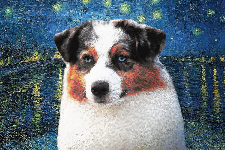 Australian Shepherd Blue Merle Aussie Starry Night Over The Rhone