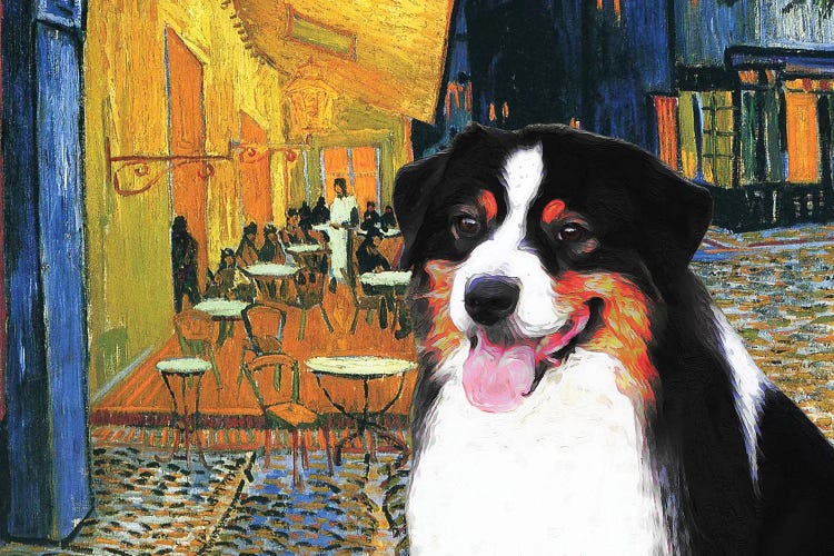 Australian Shepherd Aussie Cafe Terrace At Night