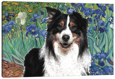 Australian Shepherd Aussie Irises Canvas Art Print - Nobility Dogs