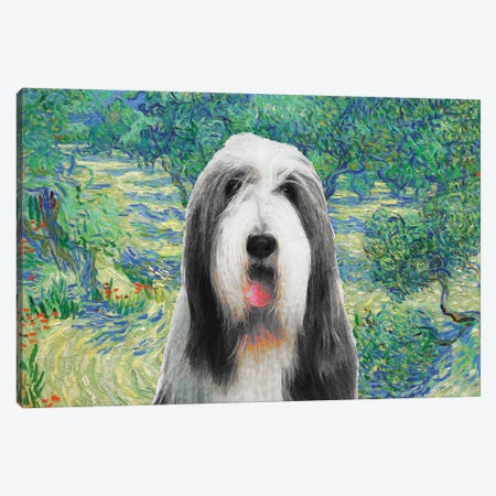 Bearded Collie Olive Orchard Canvas Print #NDG589} by Nobility Dogs Canvas Art Print