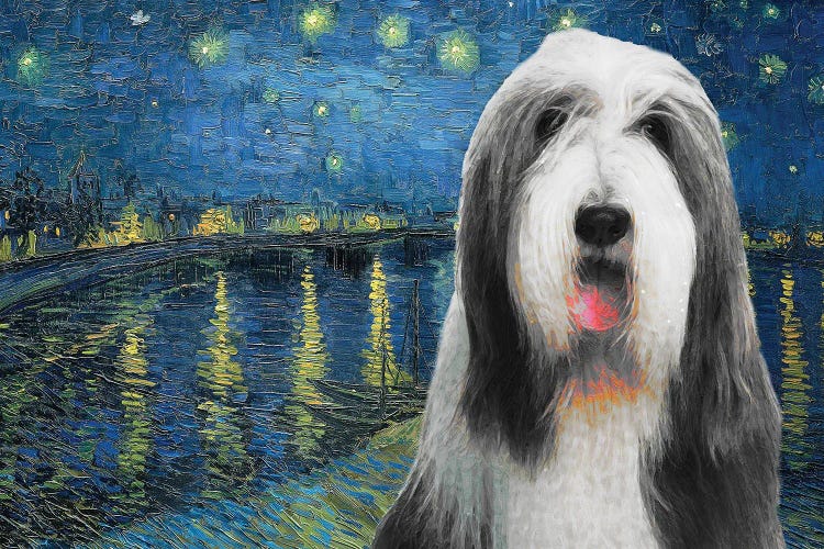 Bearded Collie Starry Night Over The Rhone