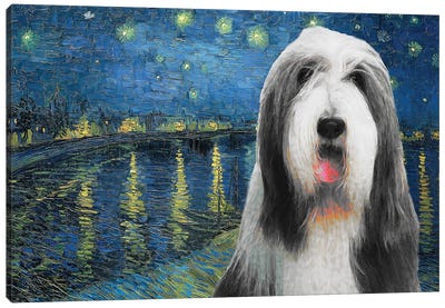 Bearded Collie Starry Night Over The Rhone Canvas Art Print