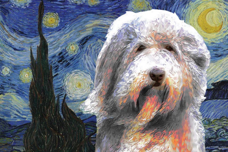 Bearded Collie The Starry Night