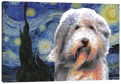 Bearded Collie The Starry Night Canvas Art Print