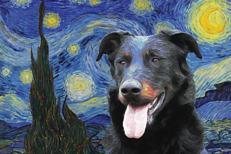 Beauceron Starry Night