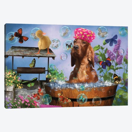 Irish Setter Wash Your Paws Canvas Print #NDG59} by Nobility Dogs Canvas Print