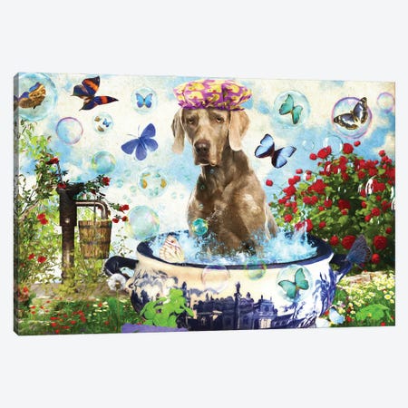Weimaraner Wash Your Paws Canvas Print #NDG61} by Nobility Dogs Canvas Artwork