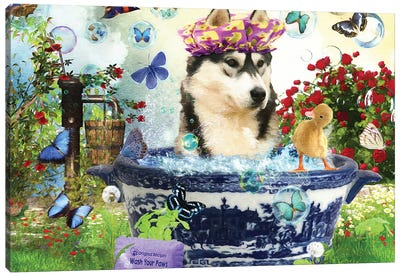 Siberian Husky Wash Your Paws Canvas Art Print - Siberian Husky Art