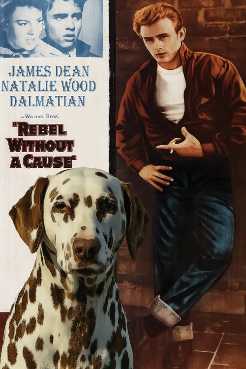 Dalmatian Dog Rebel Without A Cause Movie