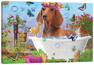 Red Dachshund Wash Your Paws Canvas Art Print - Nobility Dogs