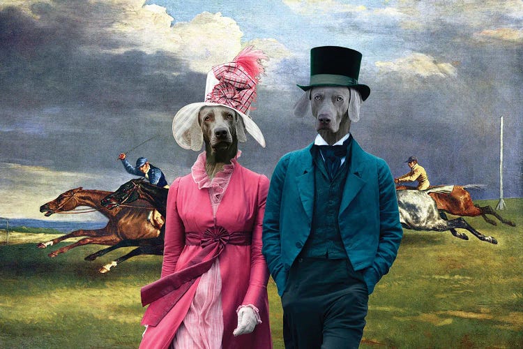 Weimaraner Derby In Epsom