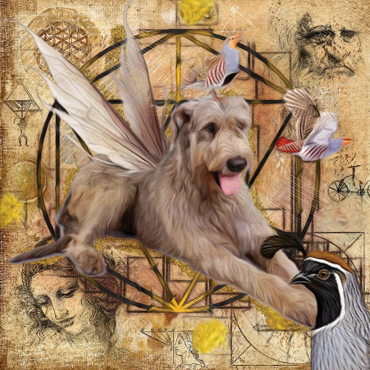 Irish Wolfhound Angel Da Vinci