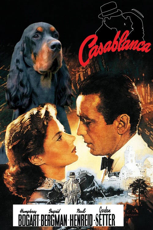 Gordon Setter Casablanca Movie Poster