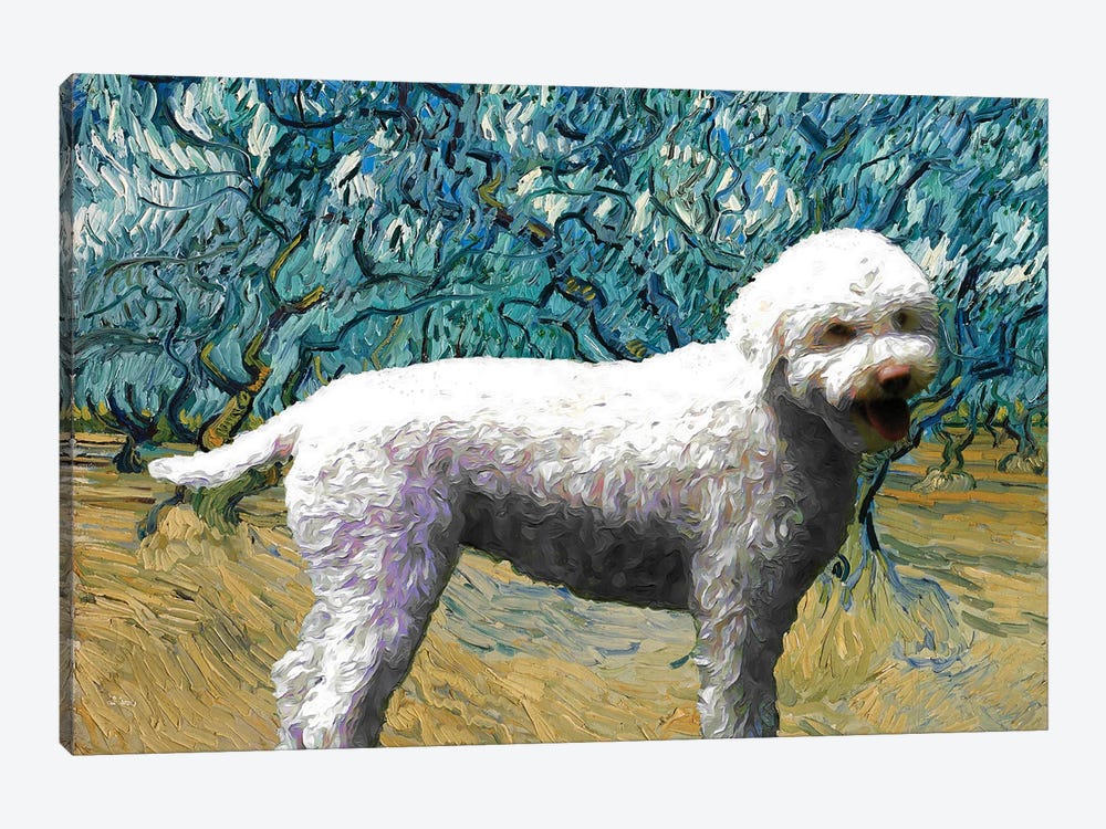 Lagotto Romagnolo Olive Orchard by Nobility Dogs 1-piece Canvas Art