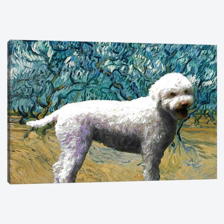 Lagotto Romagnolo Olive Orchard Canvas Print #NDG745} by Nobility Dogs Canvas Artwork