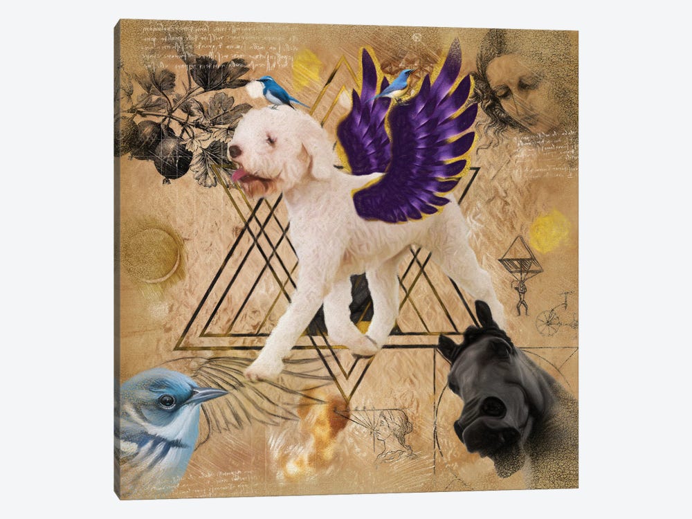 Lagotto Romagnolo Angel Da Vinci by Nobility Dogs 1-piece Canvas Art