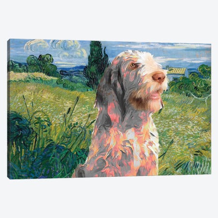 Spinone Italiano Green Wheat Field With Cypress Canvas Print #NDG753} by Nobility Dogs Canvas Artwork