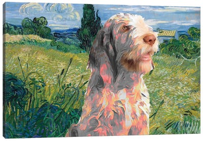 Spinone Italiano Green Wheat Field With Cypress Canvas Art Print