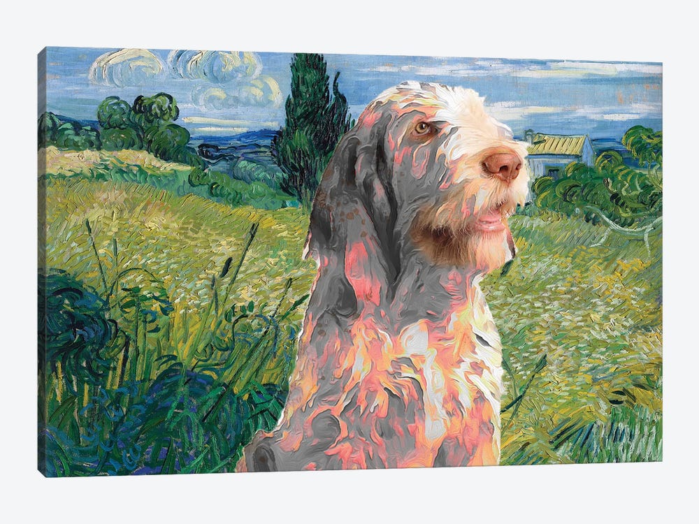 Spinone Italiano Green Wheat Field With Cypress by Nobility Dogs 1-piece Canvas Print