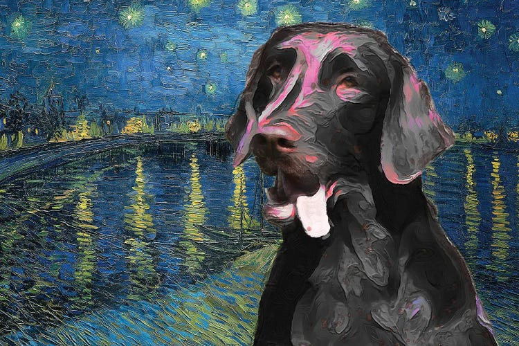 Flat-Coated Retriever Starry Night Over The Rhone