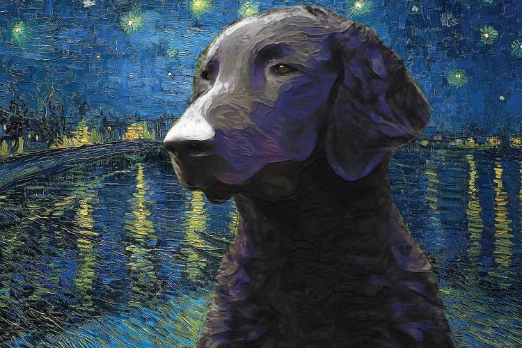 Curly-Coated Retriever Starry Night Over The Rhone