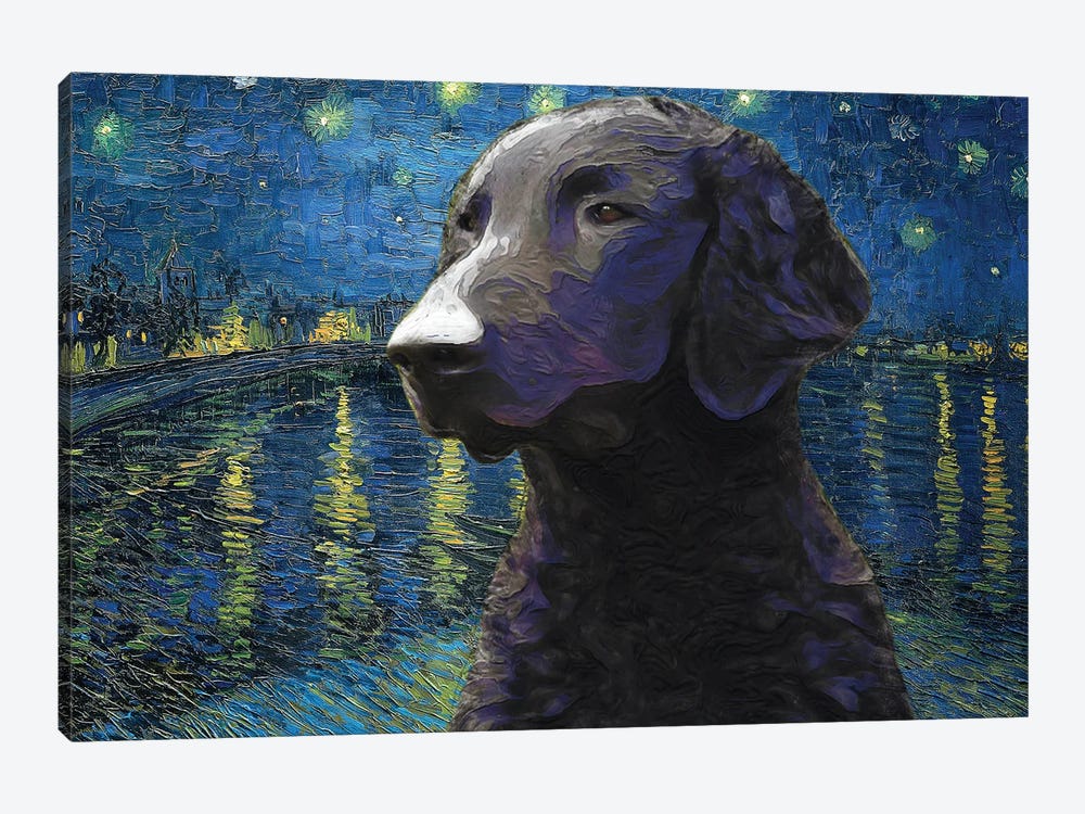 Curly-Coated Retriever Starry Night Over The Rhone by Nobility Dogs 1-piece Canvas Art