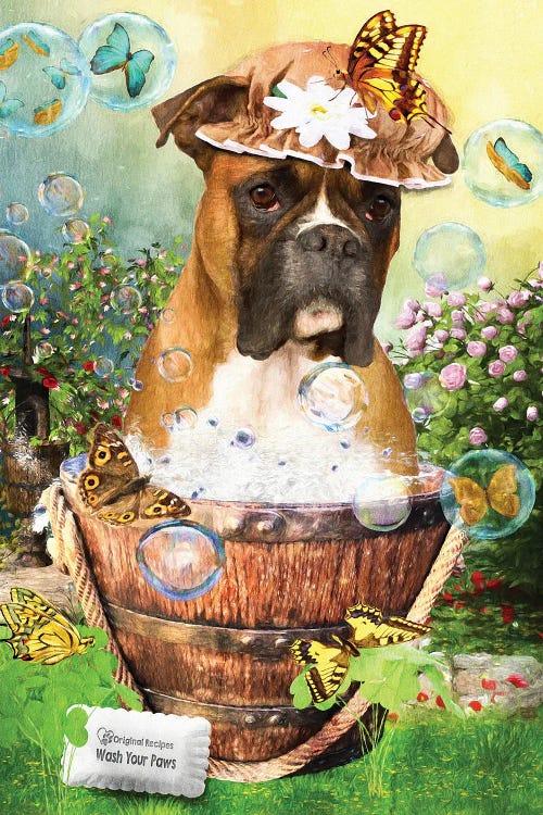 Boxer Dog Wash Your Paws