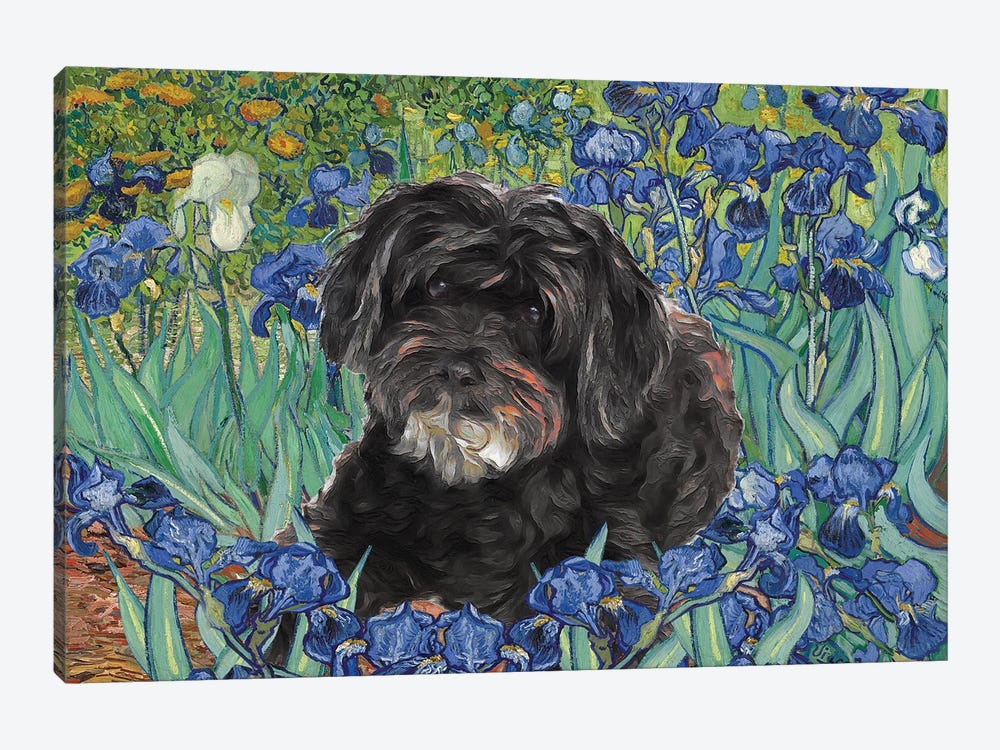 Schnoodle Irises by Nobility Dogs 1-piece Canvas Artwork