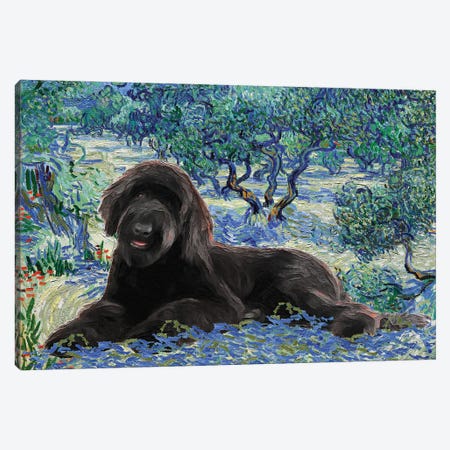 Schnoodle Olive Orchard Canvas Print #NDG83} by Nobility Dogs Canvas Art