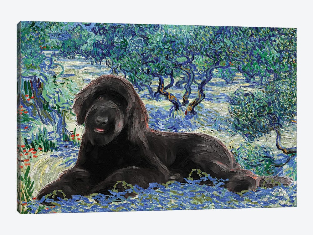 Schnoodle Olive Orchard by Nobility Dogs 1-piece Canvas Art Print