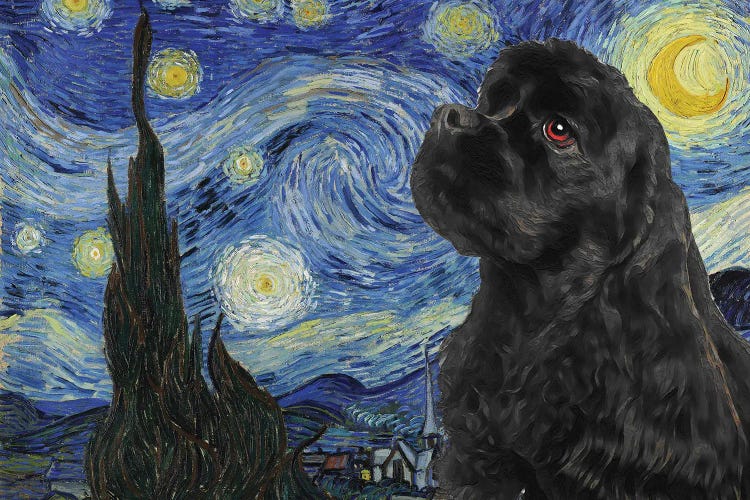 Black Cocker Spaniel The Starry Night