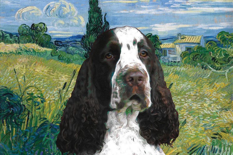 English Springer Spaniel Green Wheat Field With Cypress