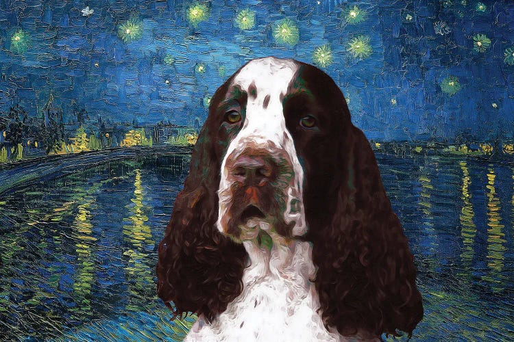 Liver English Springer Spaniel Starry Night Over The Rhone