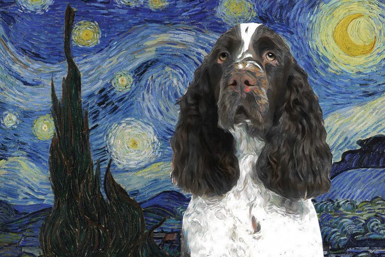 English Springer Spaniel Starry Night