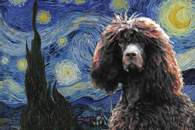 Irish Water Spaniel Starry Night