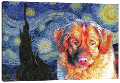 Nova Scotia Duck Tolling Retriever Starry Night Canvas Art Print - All Things Van Gogh