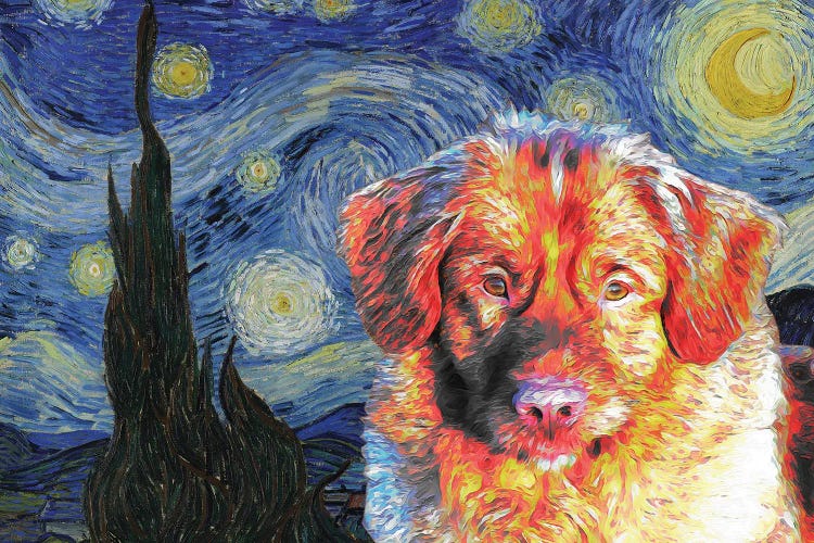 Nova Scotia Duck Tolling Retriever Starry Night