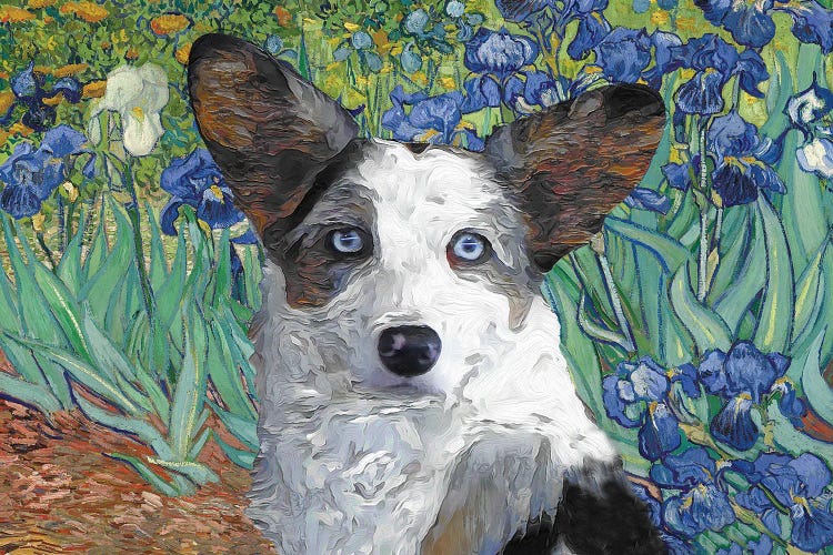 Cardigan Welsh Corgi Irises