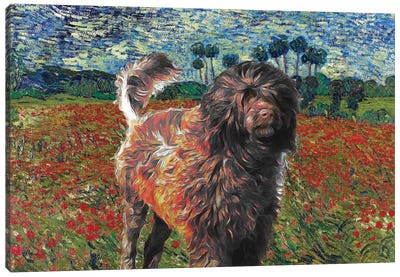 Portuguese Water Dog Poppy Field Canvas Art Print - Portuguese Water Dog