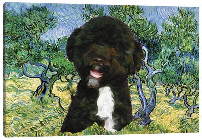 Portuguese Water Dog Olive Grove Canvas Art Print - Portuguese Water Dog