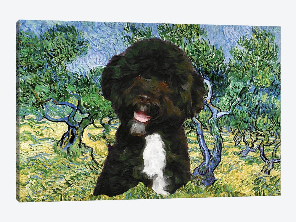 Portuguese Water Dog Olive Grove by Nobility Dogs 1-piece Canvas Artwork