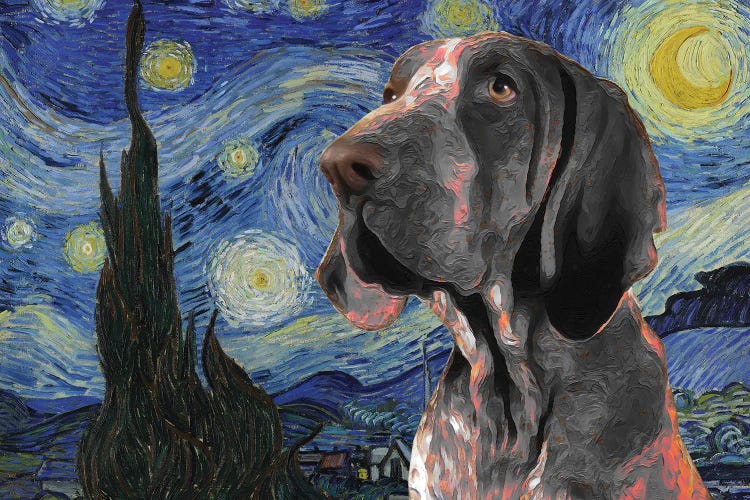 Bracco Italiano The Starry Night